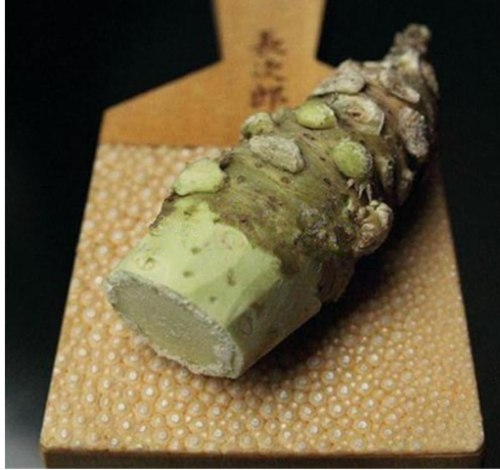 Wasabi Seeds Japanese Horseradish Plants