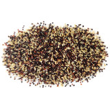 Spiny Amaranth Seeds - Nutrient-Rich Edible Greens with Medicinal Uses
