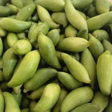 Slipper Gourd Seeds - Sweet Edible Gourds for Trellis & Container