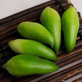 Slipper Gourd Seeds - Sweet Edible Gourds for Trellis & Container