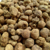 Yanhusuo Seeds - Corydalis Medicinal Herb for Pain Relief & Qi Circulation, Zhejiang Famous Herb