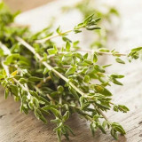 Mongolian Thyme Seeds - Fragrant Culinary Herb, Medicinal Plant, Drought-Resistant