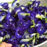 Butterfly Pea Seeds (Clitoria ternatea) – Blue Flowering Vine for Gardens
