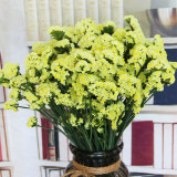 Wavyleaf Sea Lavender Seeds - Light Yellow Starry Blooms, Drought-Resistant Everlasting Flowers