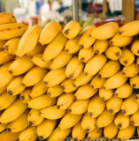 Giant Banana Seeds Sweet Orangic Fruit