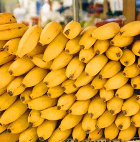 Giant Banana Seeds Sweet Orangic Fruit