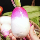 Sweet Pear Radish Seeds - Crisp, Juicy & Non-Spicy Hybrid Variety