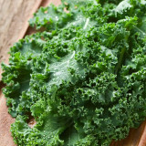 Curly Kale Seeds - Dutch Variety, Pinnate Dark Green Leaves, Nutrient-Rich, High Consistent Yield
