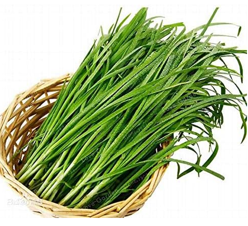 Chinese Chive Seed Garden Potted Leek Plants Seed for Home Garden
