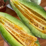 Yangjiao Melon Seeds - Flying 61 Horn Honeydew Variety, High Brix Sweetness for Greenhouse & Garden