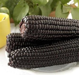 Black Waxy Corn Seeds