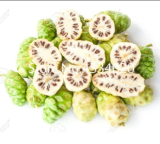 Noni Fruit Tree Seeds Plant Morinda Citrifolia for Fruit Nhan Nuo Li