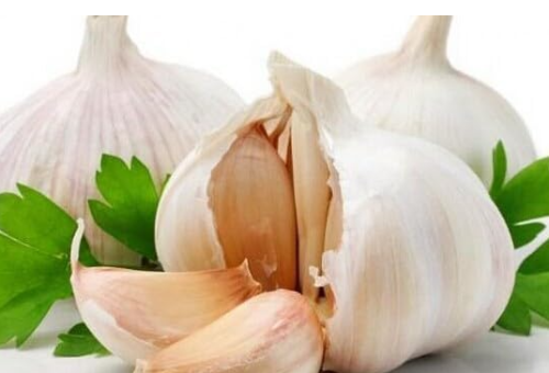 Multi-Petals Garlic Seed Organic Healthy Green Vegetable for Kitchen