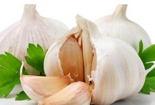 Multi-Petals Garlic Seed Organic Healthy Green Vegetable for Kitchen