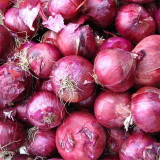 Royal Amethyst' Purple Onion Seeds - Premium Purple-Red Variety, Long Storage, High Yield & Disease Resistant, Uniform Bulbs