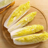 'Golden Pearl' Baby Cabbage Seeds - Early Maturing, High Yield, Golden Yellow Heart for Commercial Growing