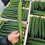 ‘Green Dragon F1 · 188’ Cucumber Seeds - High Yield Hybrid for Greenhouse & Open Field