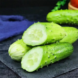 'Superior' Classic Fruit Cucumber - Vigorous Growth, Early Maturing, High Yield, for Greenhouse & Open Field