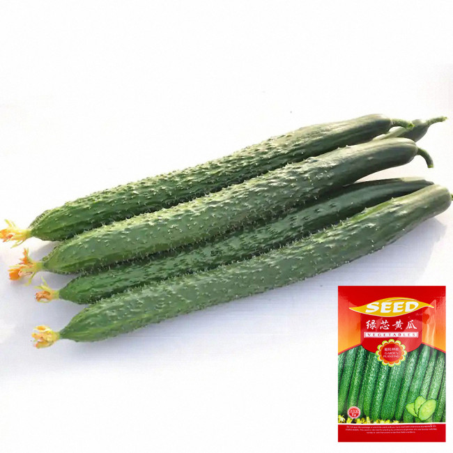 'Emerald Heart' Cucumber Seeds — Cucumis sativus, Premium Green Core Variety, High-Yield Hybrid, 34cm Straight Fruits