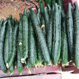 'Fuyang No.2' F1 Cucumber Seeds - High Yield & Disease Resistant, Compact Plant, Multi-Season Cultivation