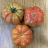 'Dongfanghong' Tomato Seeds - Wrinkled Fruits, Rich Aroma, Organic Gardening