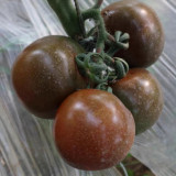 'Big Black Beauty' Tomato Seeds - Heirloom Variety, High-Yield & Nutrient-Rich