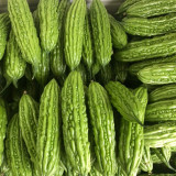Silver Jubilee Pearl Bitter Gourd F1 Seeds - Vigorous Growth & High Quality, Long Harvest, Uniform Fruit