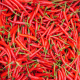 Tasty Upward-Growing Chili Pepper Seeds - Hybrid F1, High Yield, Compact Plant, Intense Pungency, High Disease Resistance