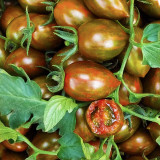 Royal Violet Cherry Tomato Seeds Hybrid, Virus Resistant, High Sugar, for Greenhouse & Garden