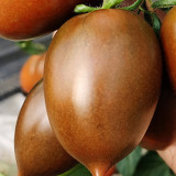 Purple Roman Tomato Seeds - Indeterminate, Cluster Harvest, Thick Skin, Greenhouse Adaptable