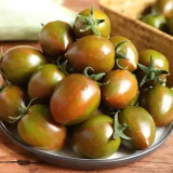 Purple Roman Tomato Seeds - Indeterminate, Cluster Harvest, Thick Skin, Greenhouse Adaptable