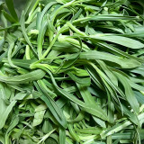 Noodle Vegetable Seeds (Silene conoidea) - Fast-Growing, Cold Tolerant for Steaming, Stir-Fry & Fresh Salads