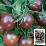 'Midnight Pearl' Gourmet Tomato Seeds - Dutch Hybrid Tangy-Sweet, Commercial Grade