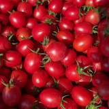 'Imperial Ruby' Cherry Tomato Seeds - Early Harvest, High Sugar, Fusarium Wilt Resistant Variety