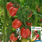 'Imperial Ruby' Cherry Tomato Seeds - Early Harvest, High Sugar, Fusarium Wilt Resistant Variety