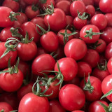 'Sweet Ruby Gem' Tomato Seeds -  Hybrid Cherry Tomato, Pink Round Fruit, High Yield, Resilient