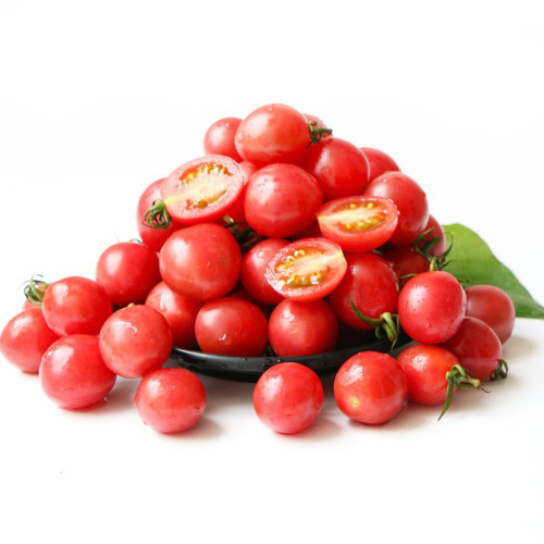 'Sweet Ruby Gem' Tomato Seeds -  Hybrid Cherry Tomato, Pink Round Fruit, High Yield, Resilient