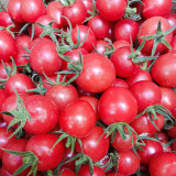 'Sweet Ruby Gem' Tomato Seeds -  Hybrid Cherry Tomato, Pink Round Fruit, High Yield, Resilient