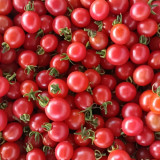 'Sweet Ruby Gem' Tomato Seeds -  Hybrid Cherry Tomato, Pink Round Fruit, High Yield, Resilient