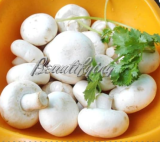 Mushrooms Vegetable Seeds Easy Growing Garden - (Color: 5)