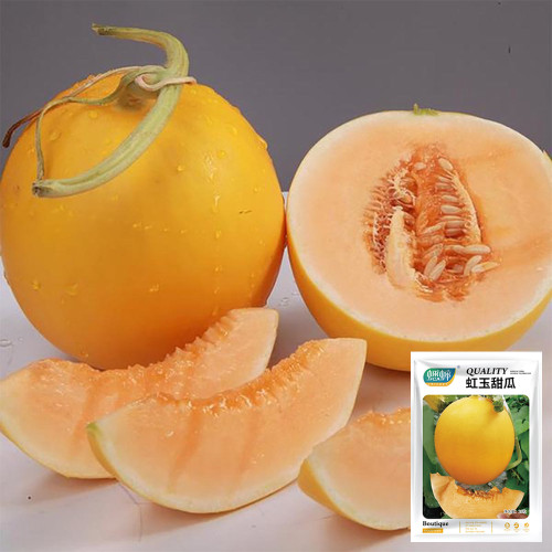 Hongyu Melon Seeds – High-Sugar Sweet Melon Variety with Orange Skin & Flesh
