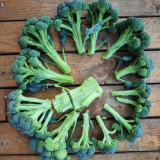 Green Sprouting Broccoli No.2 Hybrid Seeds - High Quality Small Florets Broccoli, Early Harvest, High Yield, Easy to Harvest & Process