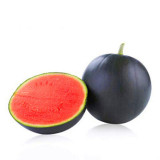 'Obsidian Sweet' Black Seedless Watermelon Seeds - Jet-Black Rind, Red Flesh