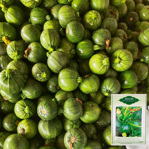 Black Pearl Round Zucchini Seeds - F1 Hybrid, Early-Maturing, Compact Vine, High-Yield Vegetable Garden Seeds