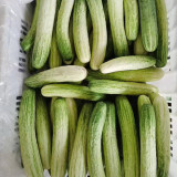 Yanbai No.7 White Cucumber - Early-maturing, High-yielding