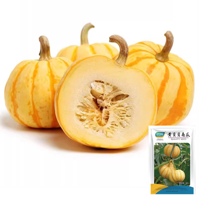 Yellow Beibei Pumpkin Seeds - Sweet Flesh, High Yield, Long Storage, Decorative