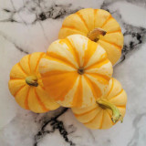 Yellow Beibei Pumpkin Seeds - Sweet Flesh, High Yield, Long Storage, Decorative