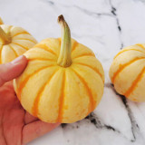 Yellow Beibei Pumpkin Seeds - Sweet Flesh, High Yield, Long Storage, Decorative