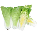 Fast Growing Pak Choi Seeds - Early Maturing Hybrid, High Yield Vegetable