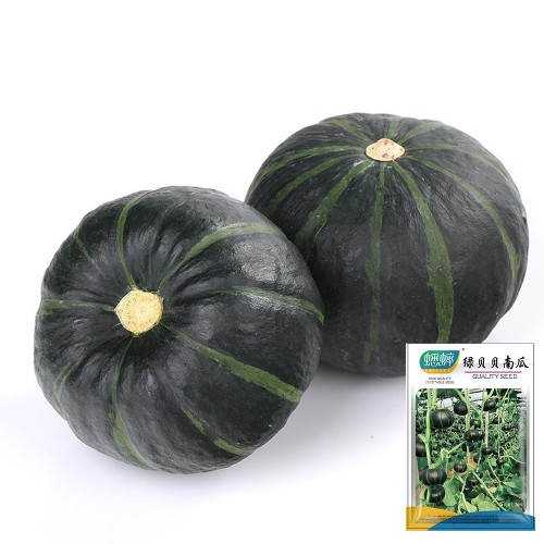 Green Beibei Pumpkin Seeds - Sweet Floury, Rich Aroma, High-Yield, Continuous Harvest